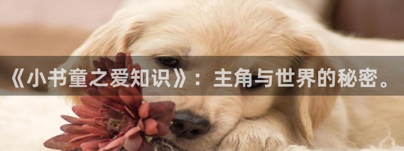 搜书吧搜书网：《小书童之爱知识》：主角与世界的秘密。