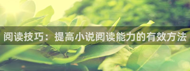 book搜书吧：阅读技巧：提高小说阅读能力的有效方法